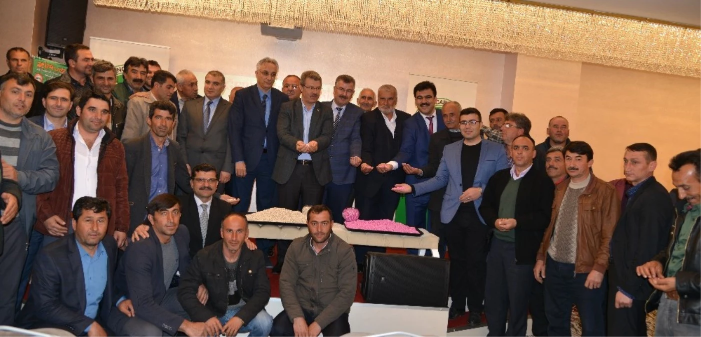Kayseri Pancar Kooperatifi, Türkiyede İlk Kez "Sözleşmeli Kurufasulye Ekimi" Dönemini Başlattı