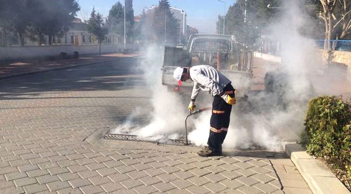 Sarayköy\'de 997 Hektar Alan Haşereye Karşı İlaçlandı