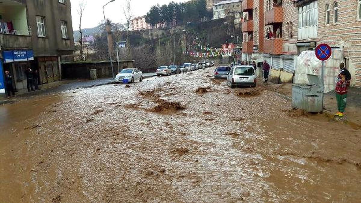 Bitlis Sele Teslim