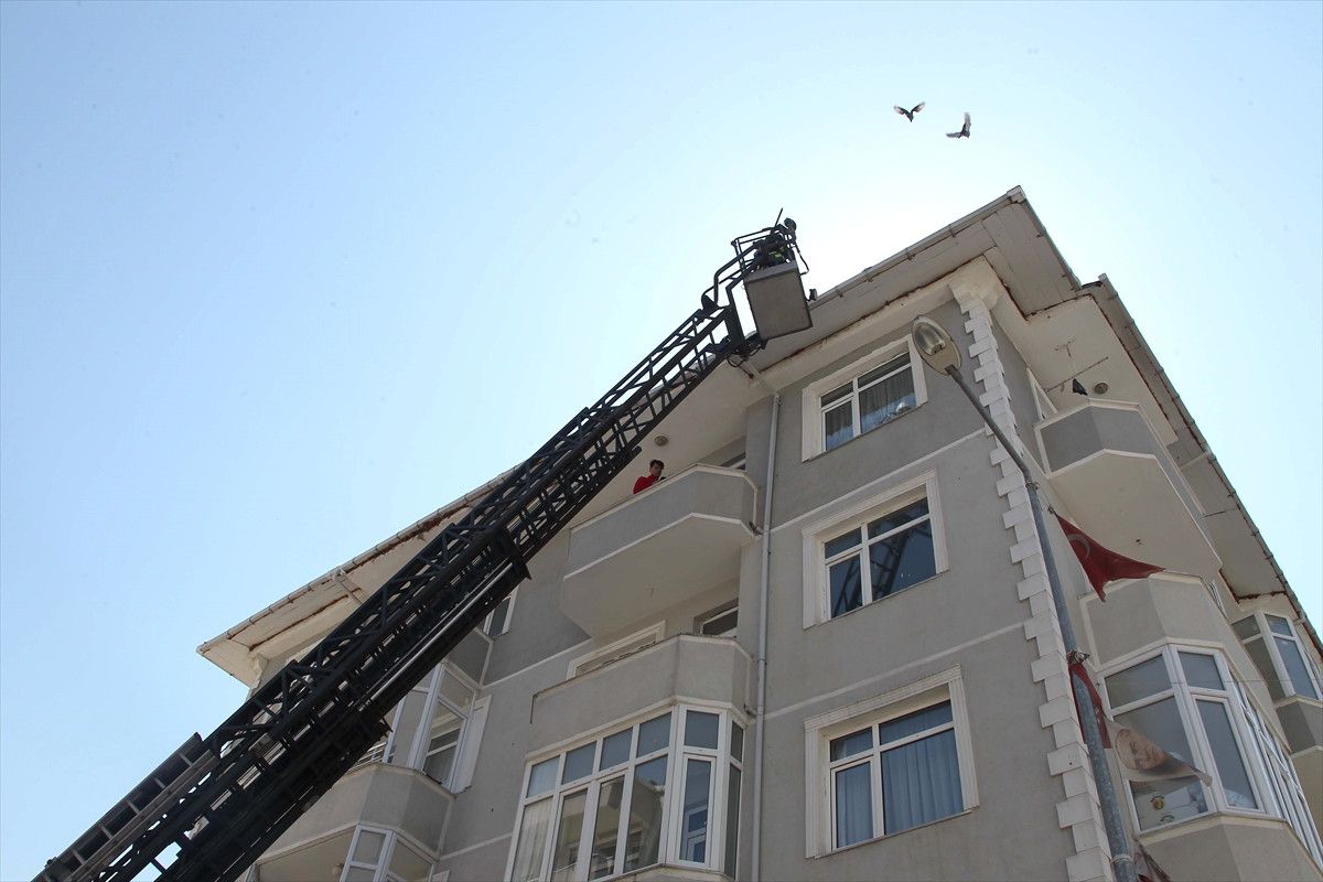 Çatıya Sıkışan Güvercin Kurtarıldı