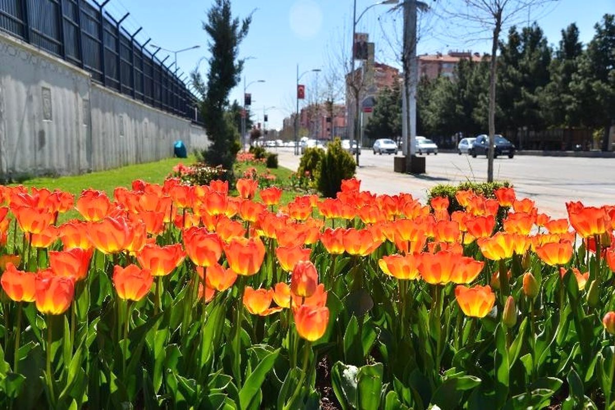 Düzeltme) Diyarbakır Çiçek Bahçesine Dönüştü