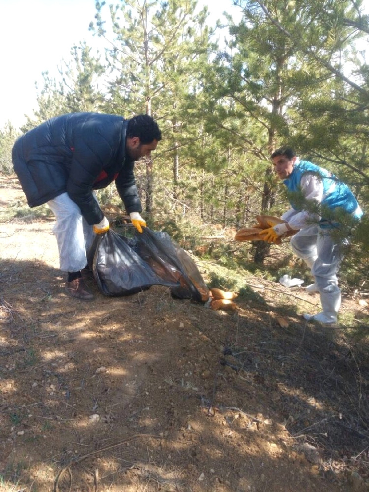 Yaban Hayvanları İçin Doğaya Yem Bırakıldı