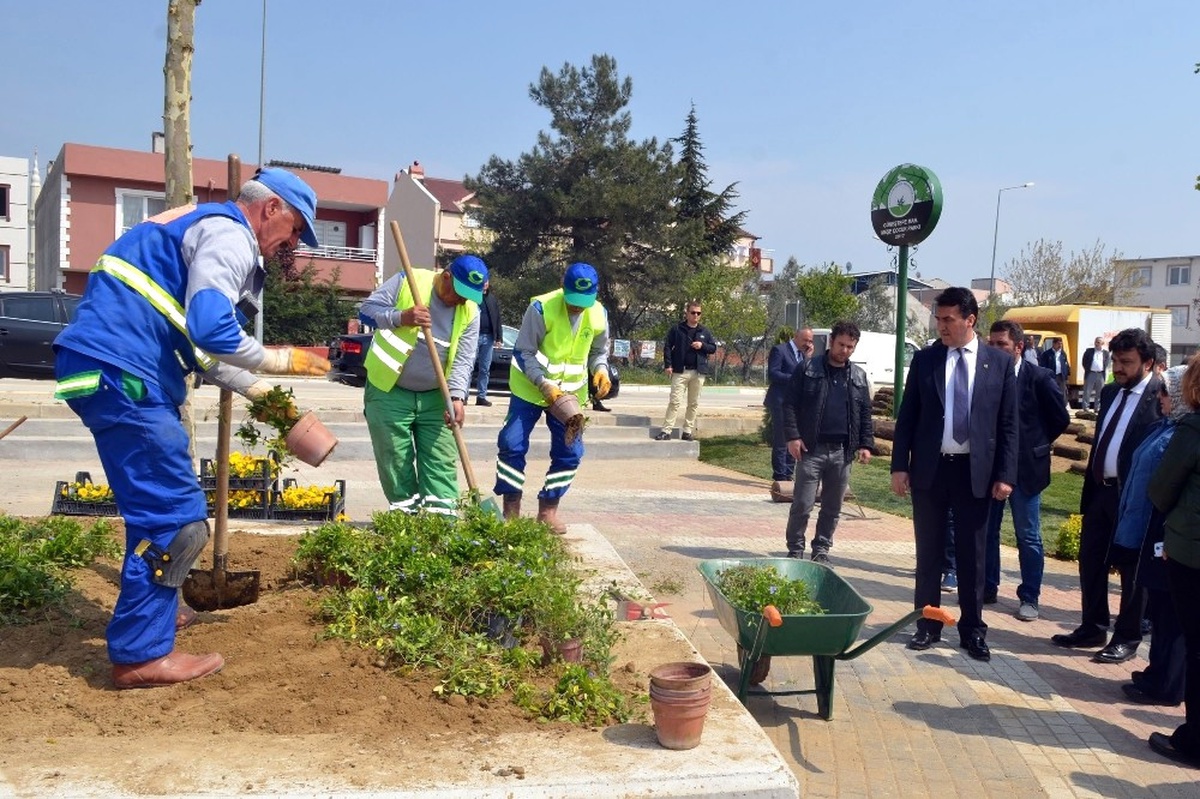 Yeşil Bursa" Osmangazi\'de Hayat Buluyor