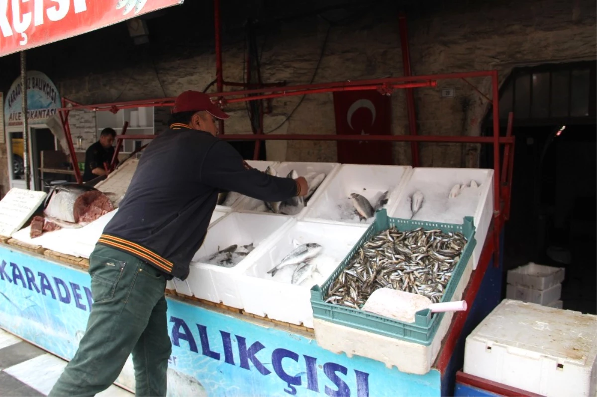 Av Yasağının Son Gününde Vatandaşlar Balıkçılara Akın Etti