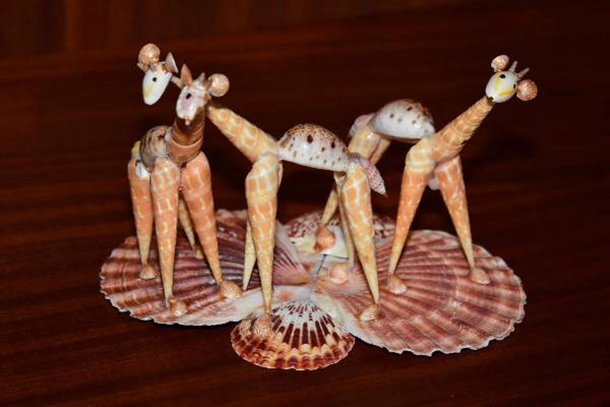 Deniz Kabuklarını Sanat Eserine Dönüştürdü
