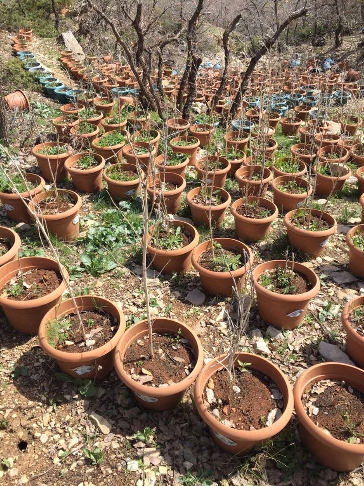 Diyarbakır\'da 1 Terörist Ölü Ele Geçirildi