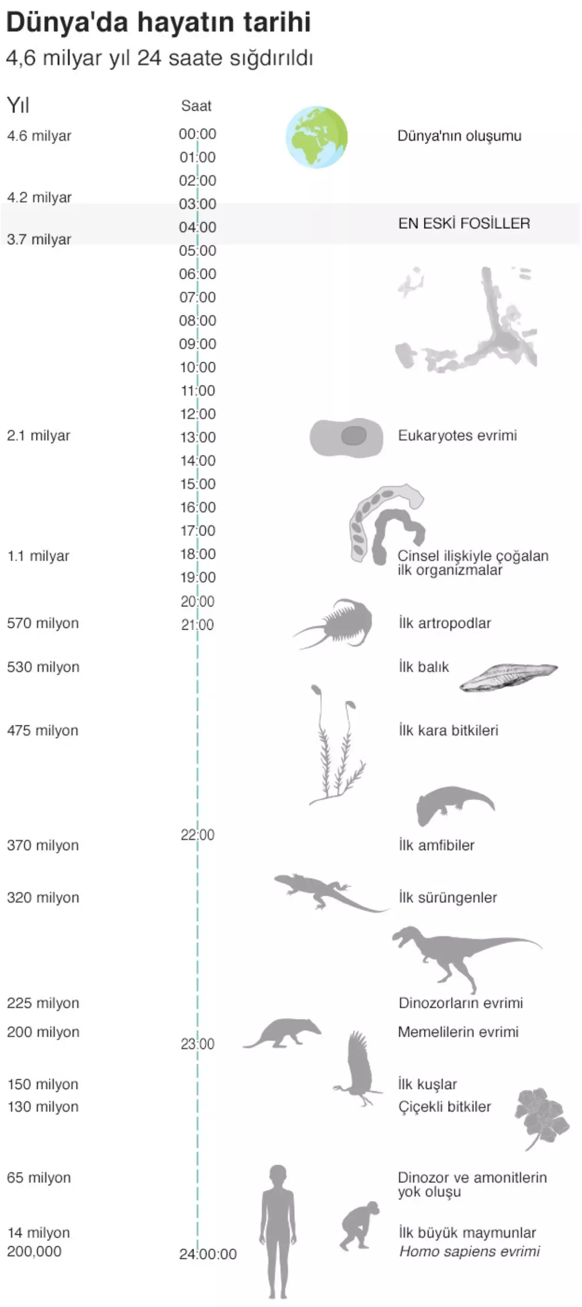Dünya Üzerindeki En Eski Yaşam Kalıntısı \'Bulundu\'