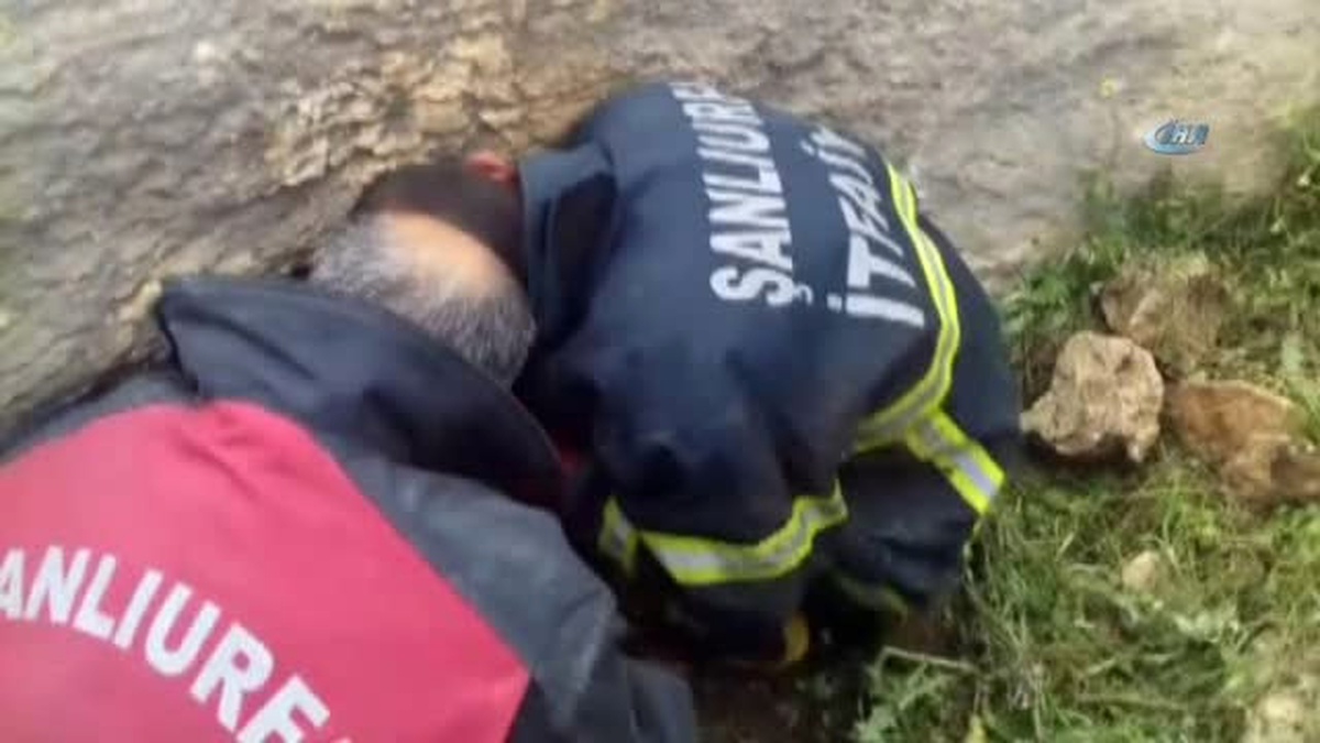Kayalığa Sıkışan Kaplumbağayı İtfaiye Kurtardı