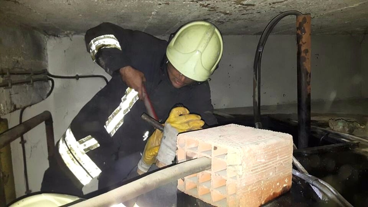 Yakıt Tankına Düşen Kediyi İtfaiye Kurtardı