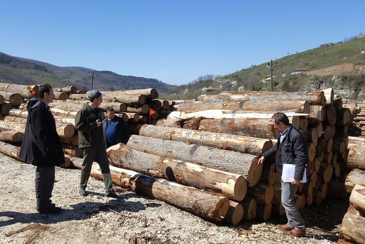 Yığılca\'da Orman Ürünleri Depoları Denetlendi