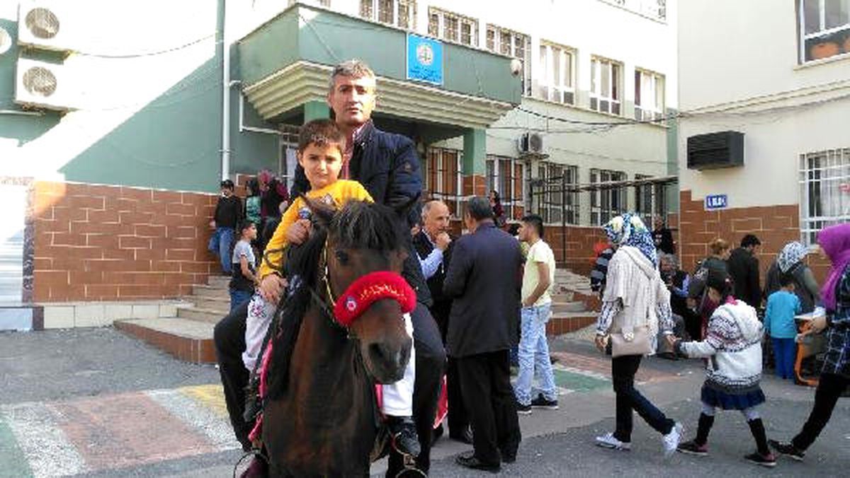 At ile Oy Kullanmaya Gitti