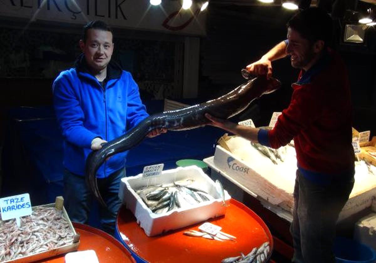 Bandırma\'da 2 Metrelik Müren Balığı Avlandı