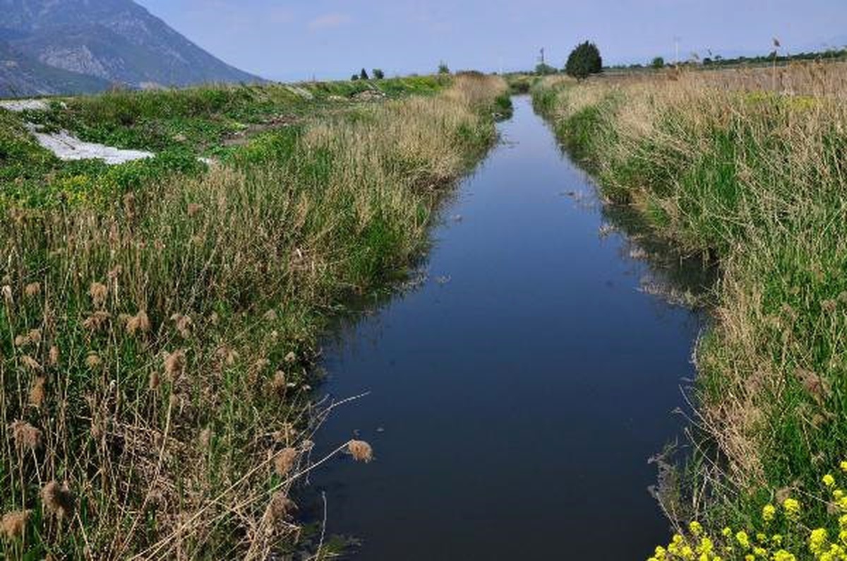 Nif Çayı\'ndaki Kirliliğe Çiftçi Tepkisi