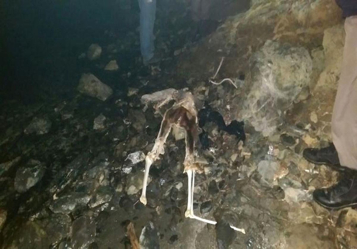 Marmaris\'te Kıyıya Vurmuş Ceset Bulundu