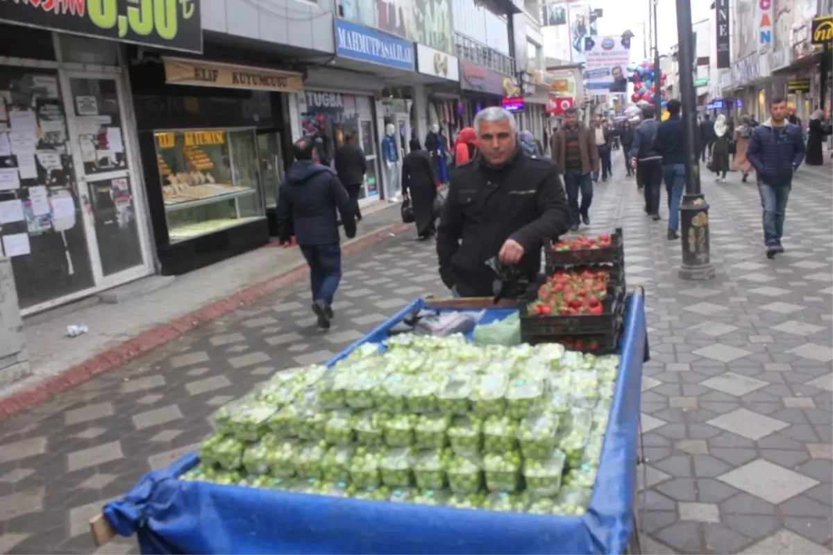 Ağrı\'da Erik Tezgâhlardaki Yerini Aldı