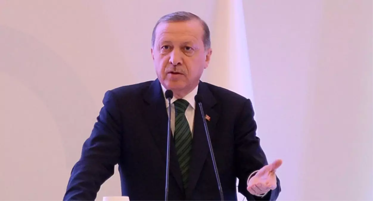 Belçikalı Vekilden Erdoğan\'a "2. Putin" Benzetmesi