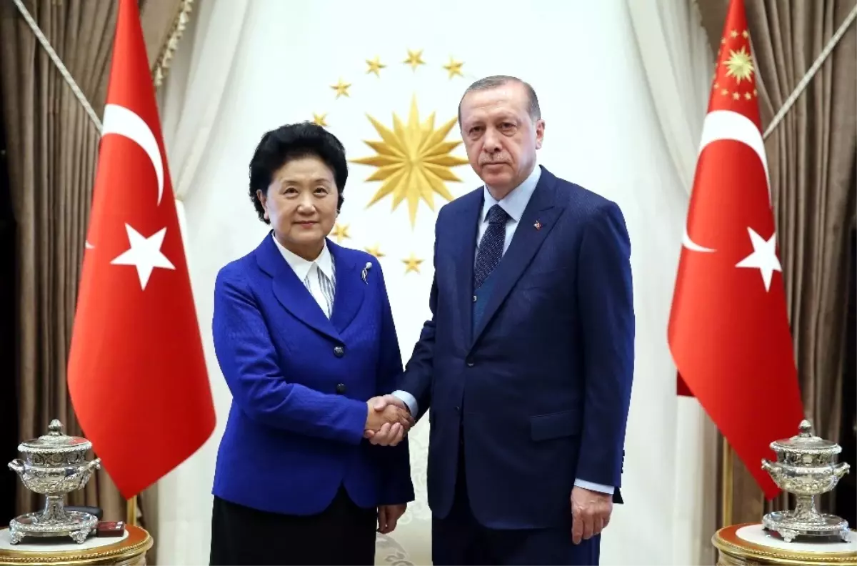 Cumhurbaşkanı Erdoğan, Çin Halk Cumhuriyeti Başbakan Yardımcısı Liu\'yu Kabul Etti