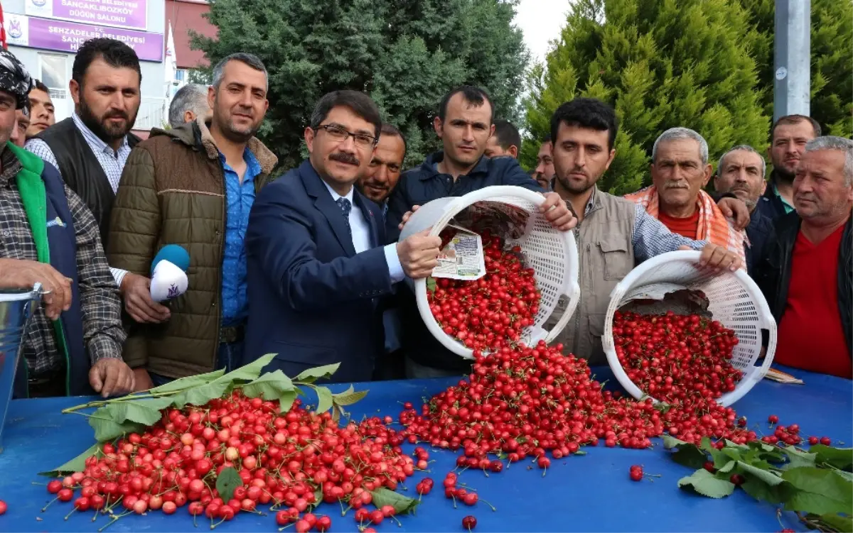 Sezonun Ilk Kirazı Pazara Çıktı