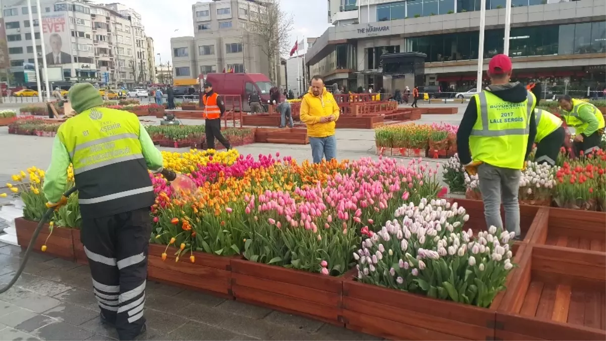 Taksim Meydanı Lalelerle Süslendi