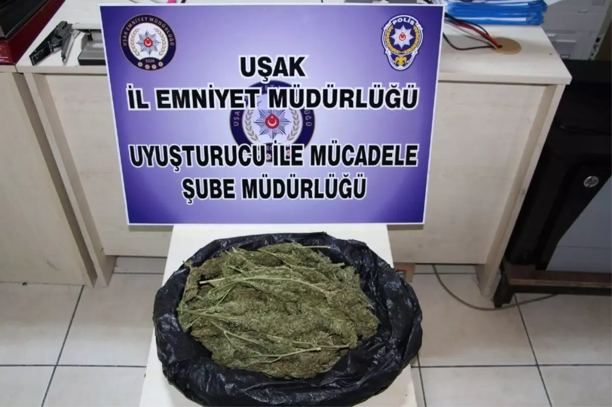 Uşak\'ta Uyuşturucu Operasyonu