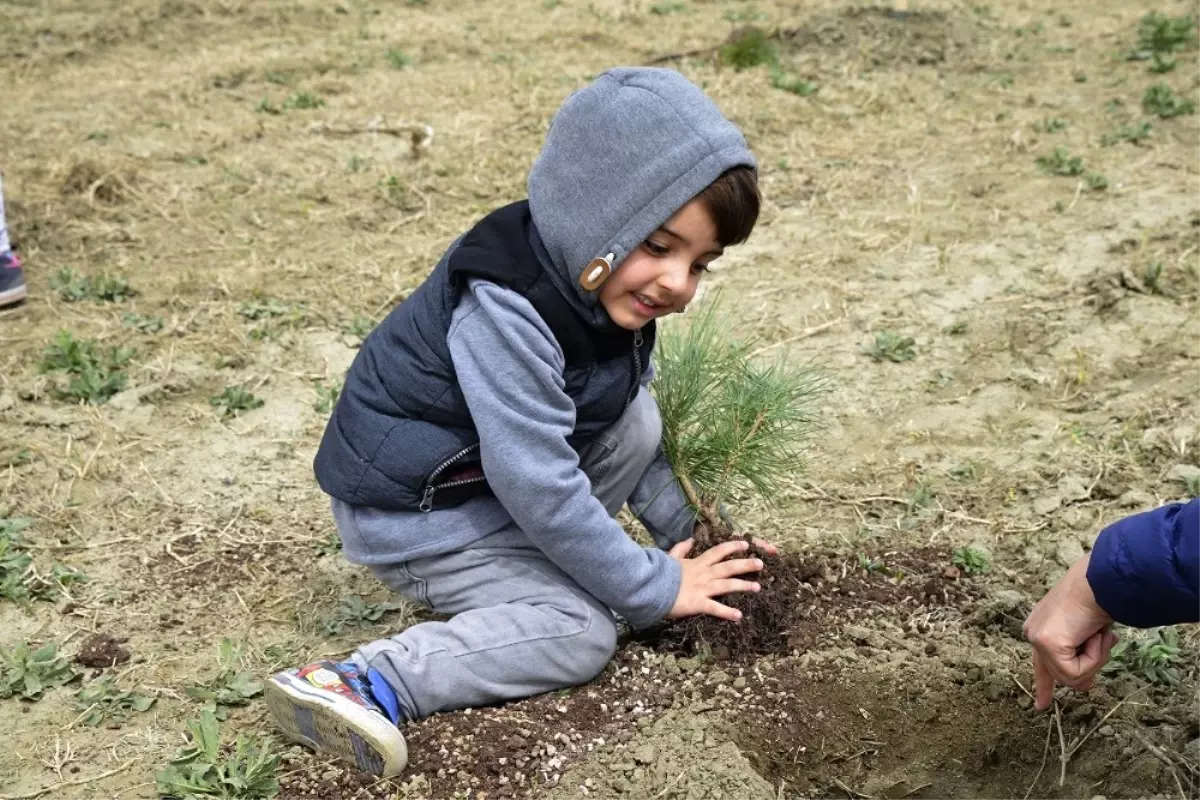 Yüzlerce Fidan Toprakla Buluştu