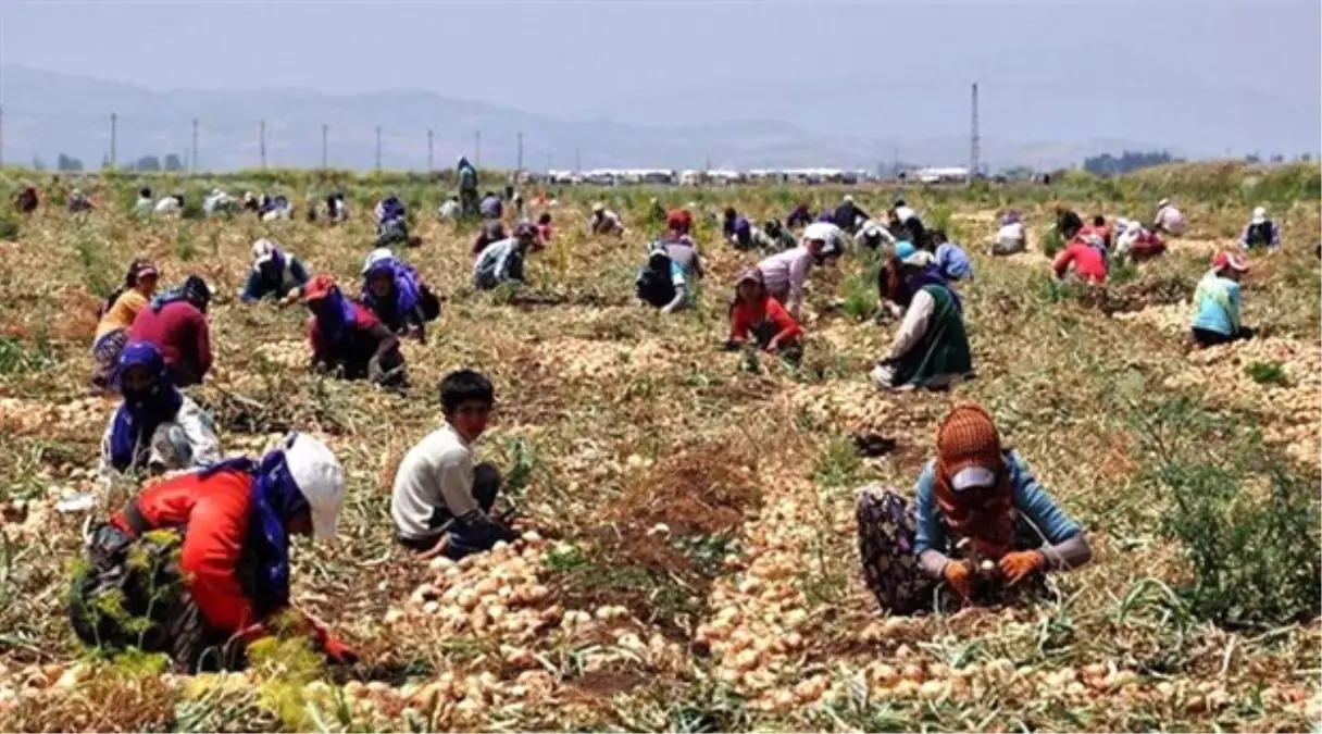 Başbakanlıktan "Mevsimlik Tarım İşçileri" Genelgesi