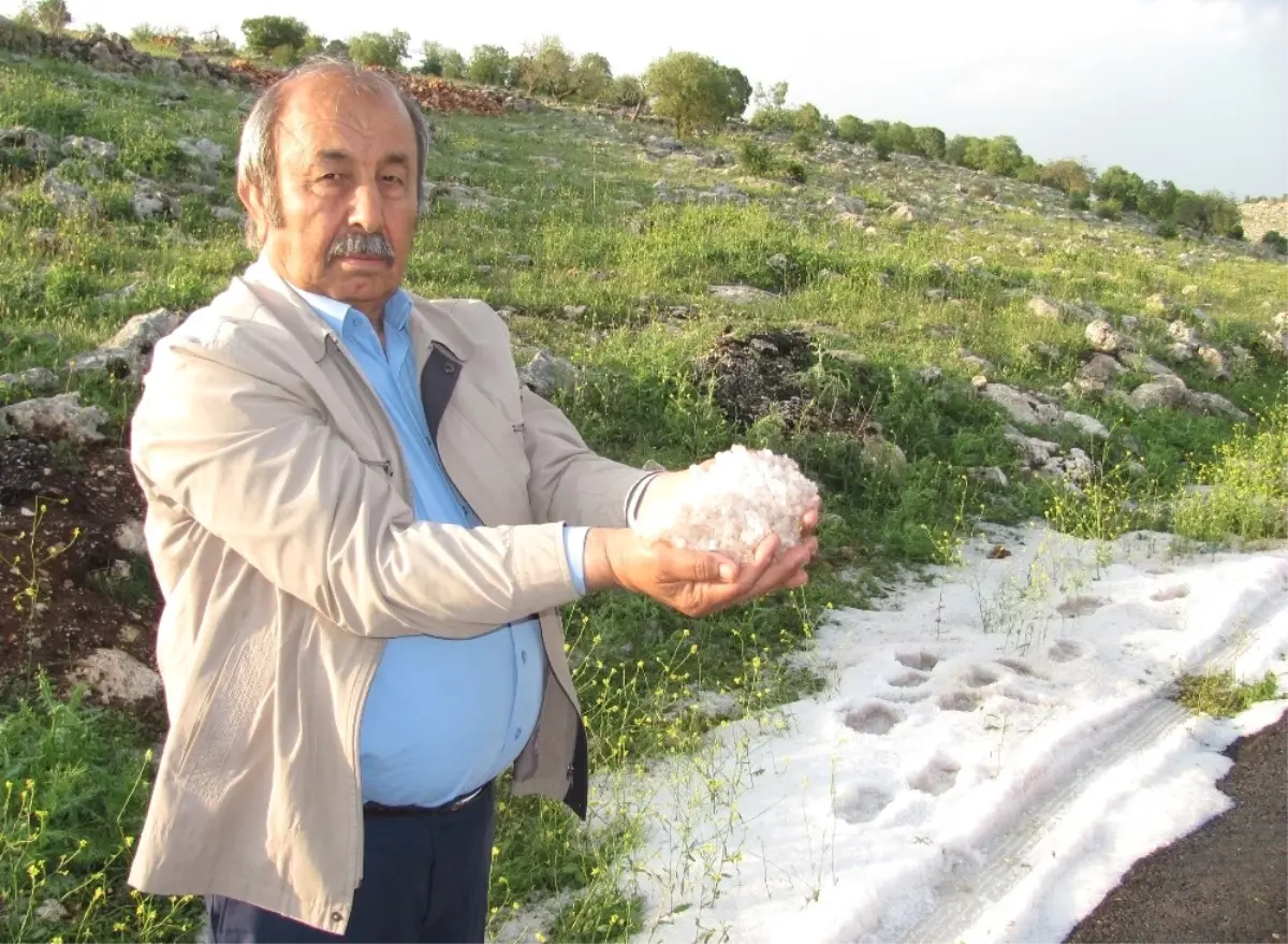 Dolu, Fıstık Bahçesi ve Hububat Alanlarını Vurdu