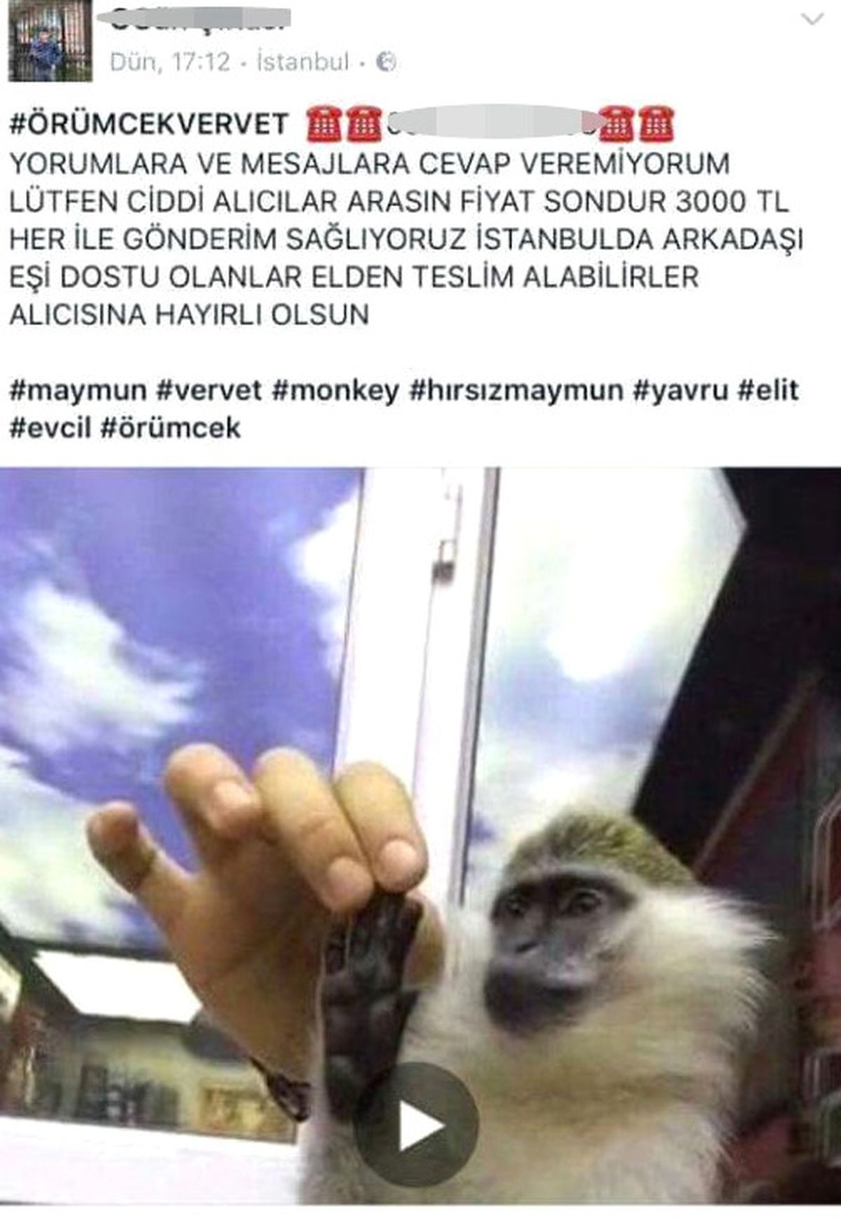 Ekiplerin Yasadışı Maymun Satan Kişiyi Yakalama Anı Kamerada