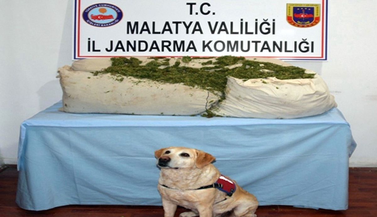 Jandarma 73 Kilo Uyuşturucu Madde ile 3 Bin 500 Paket Kaçak Sigara Ele Geçirdi
