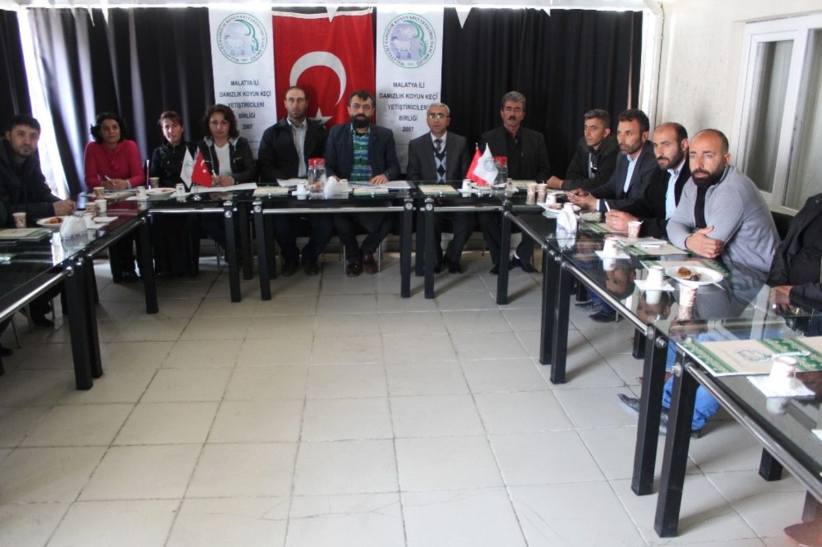 Malatya\'da Koyun Kırpma Kursu Açıldı
