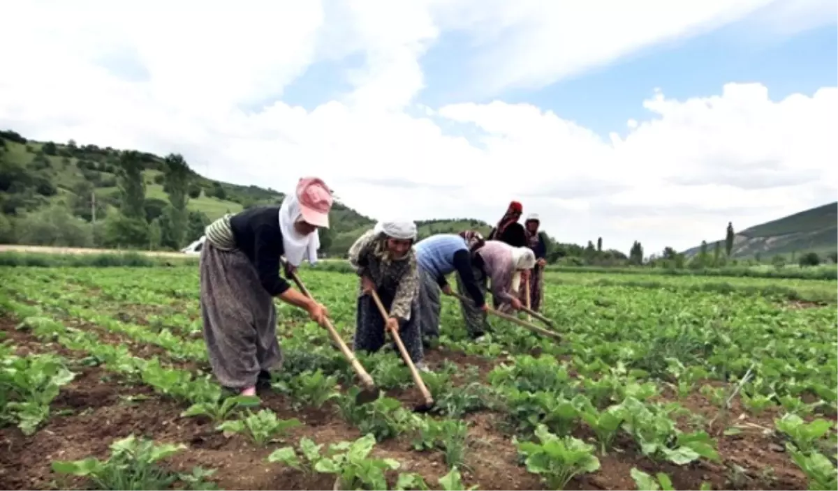 Mevsimlik Tarım İşçileri Genelgesi Yayımlandı