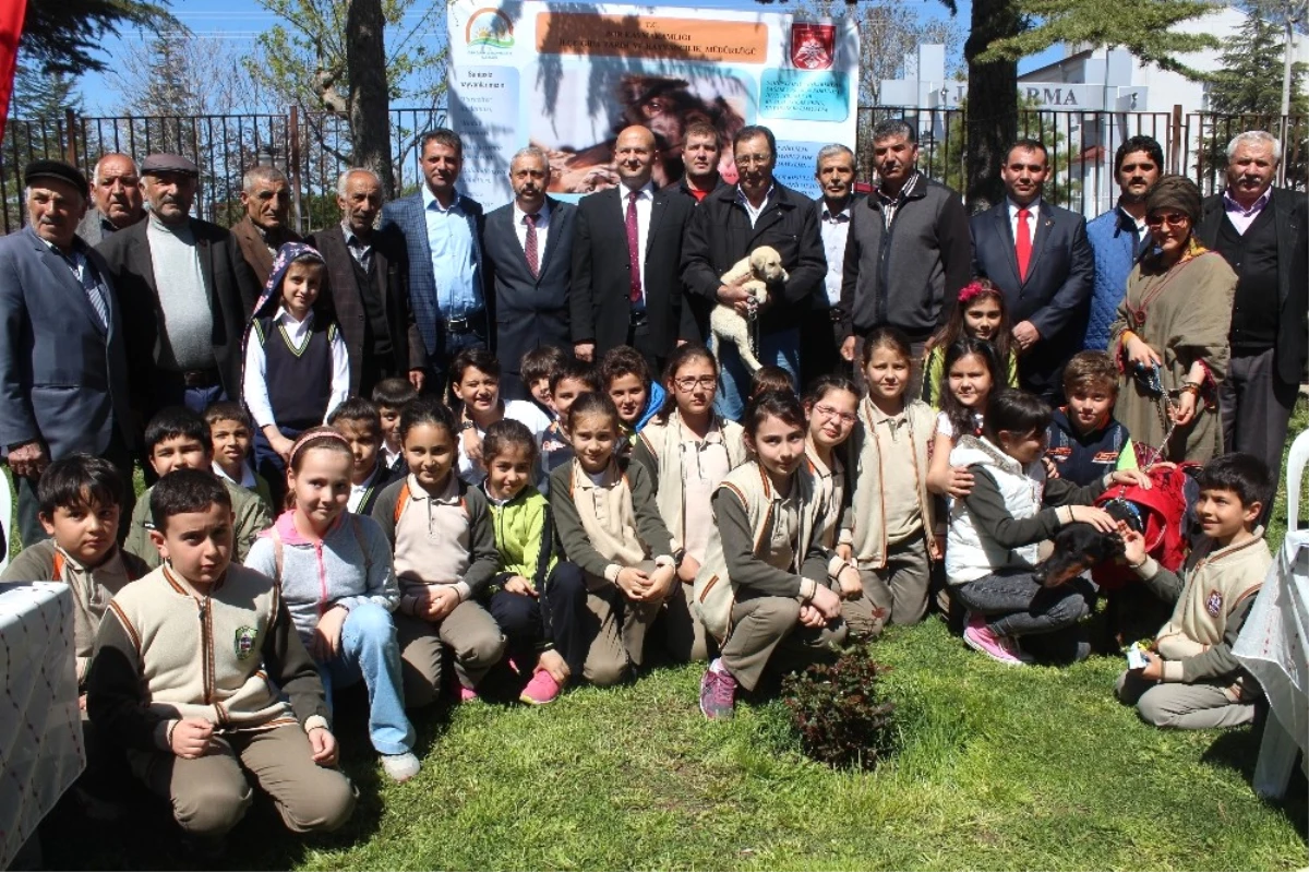 Minik Dostlarımızla Birlikte Yaşayalım\' Projesi Başladı