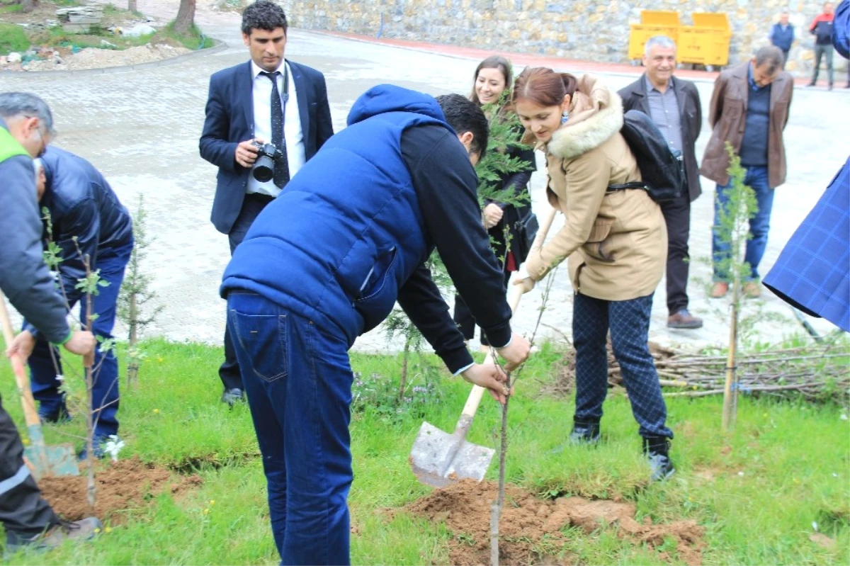 Osmaneli Belediyesi İçmeler Tesislerine Bin Adet Toros Sediri Dikildi