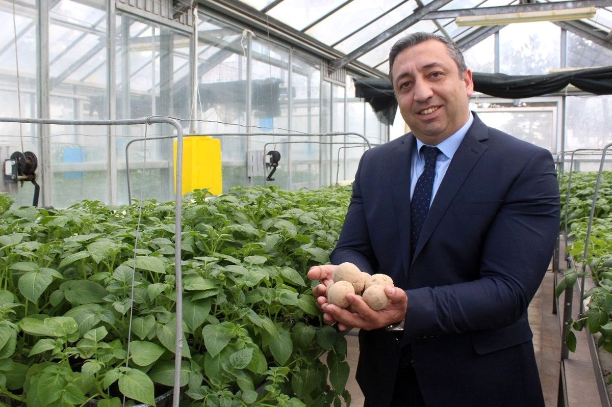 Pırlak: "Yerli Patates Tohumları Çiftçinin Maliyetini Aşağı Düşürecek"