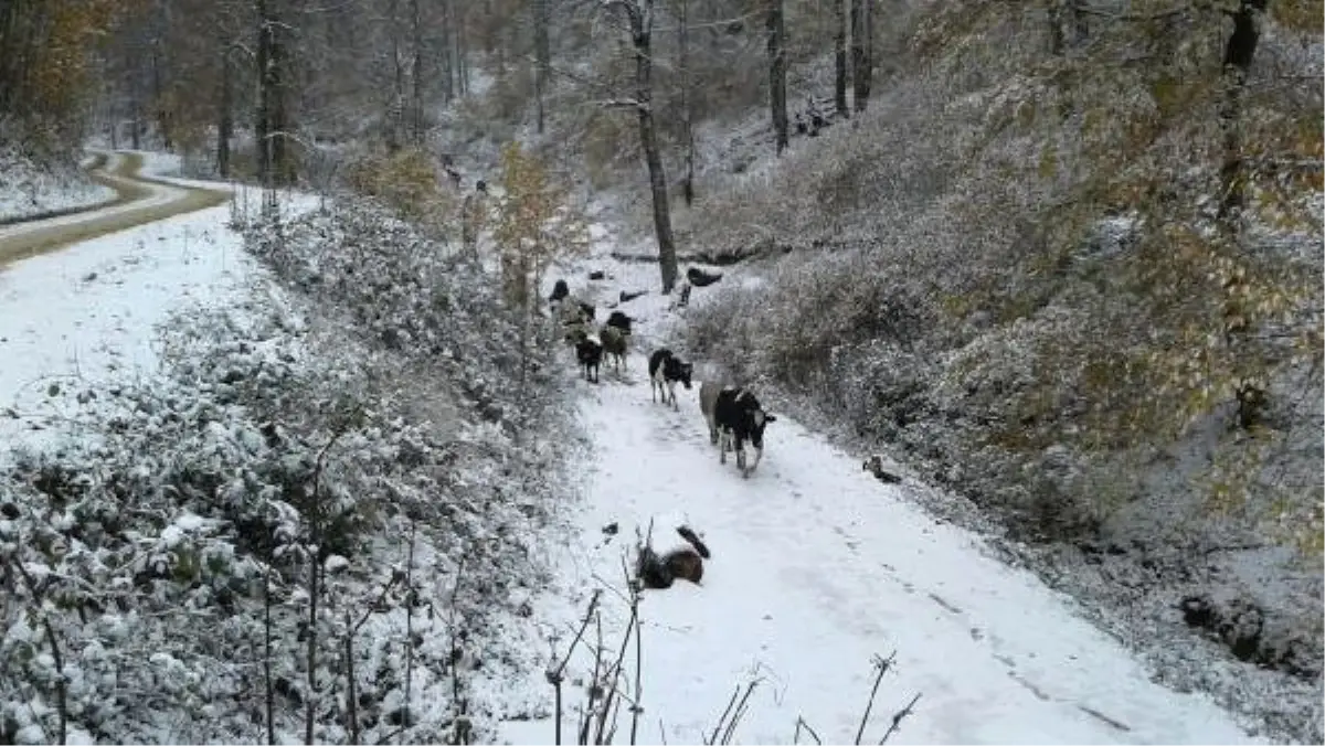 Sakarya\'nın Yüksek Kesimlerine Kar Yağdı