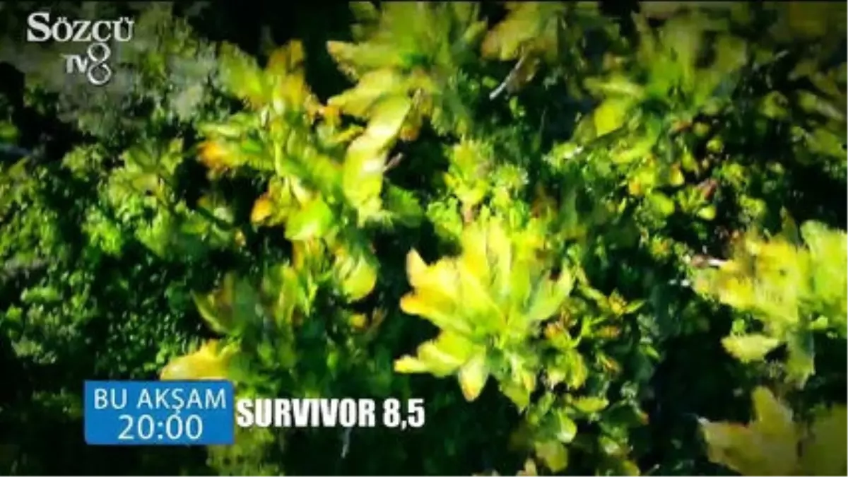 Survivor 8.5 Yeni Bölüm Fragmanı