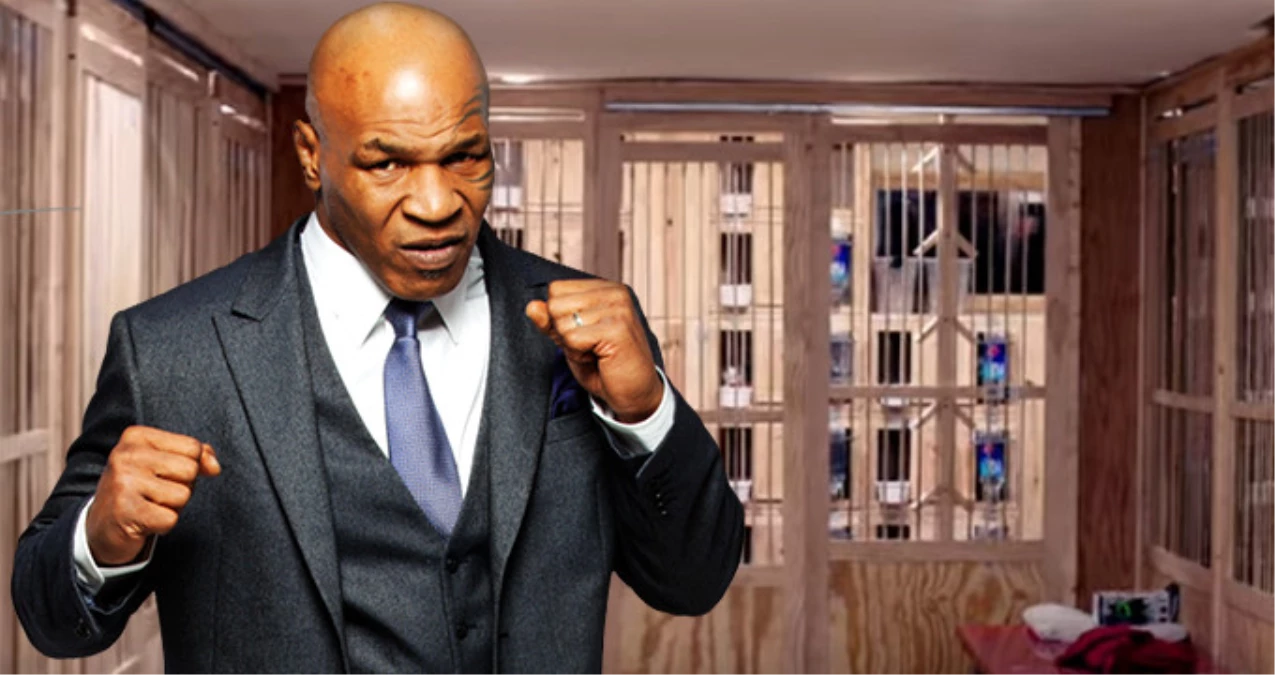 Ünlü Boksör Mike Tyson, Malikanesinde Güvercin Besliyor