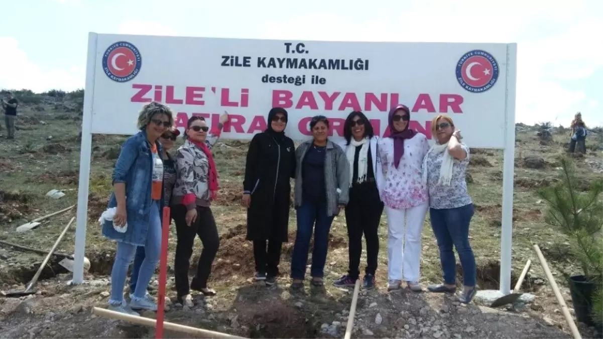 Bayanlardan Zile\'ye Hatıra Ormanı