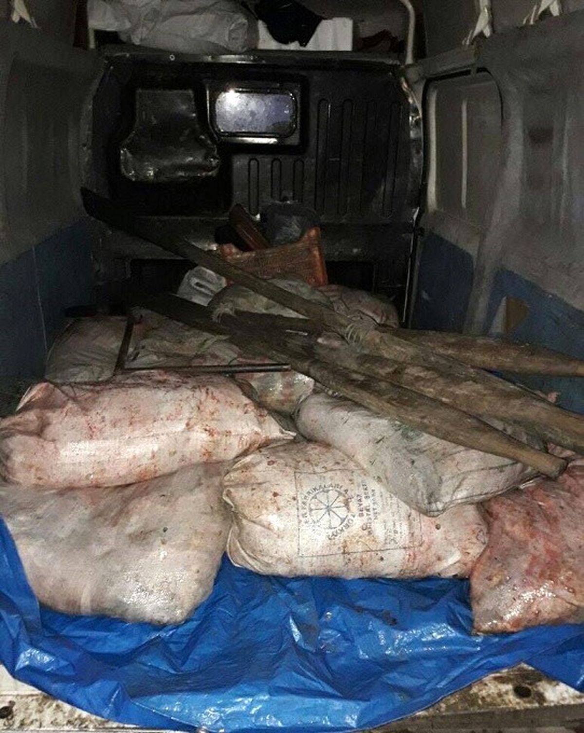 Çıldır Jandarmadan Balık Kaçakçılarına Suç Üstü