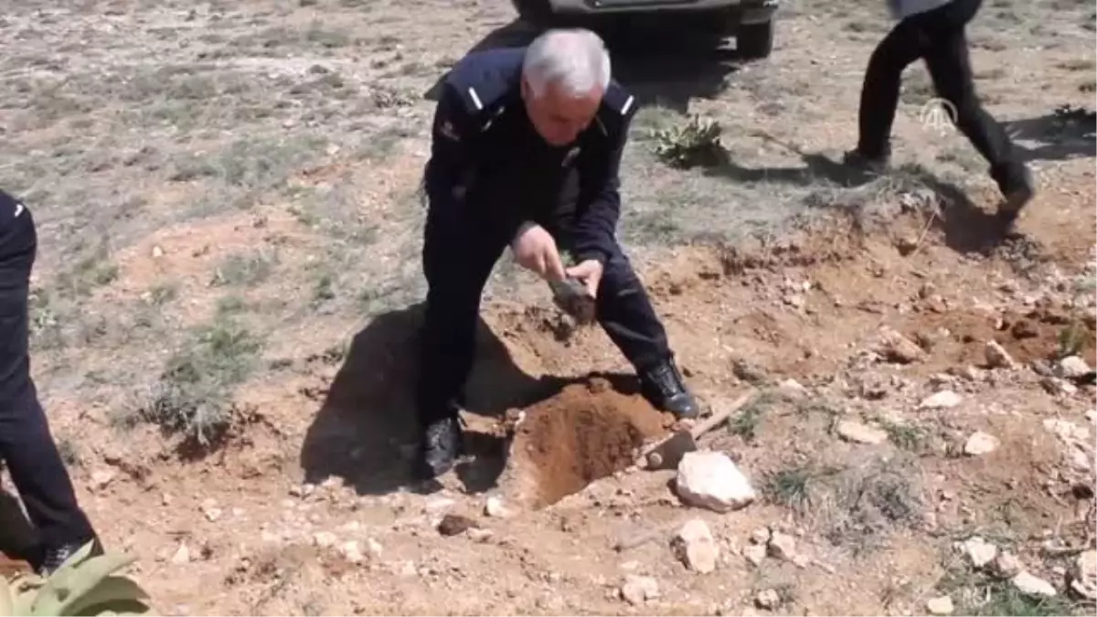 Infaz Koruma Memurları 15 Temmuz Şehitleri Anısına 249 Fidan Dikti