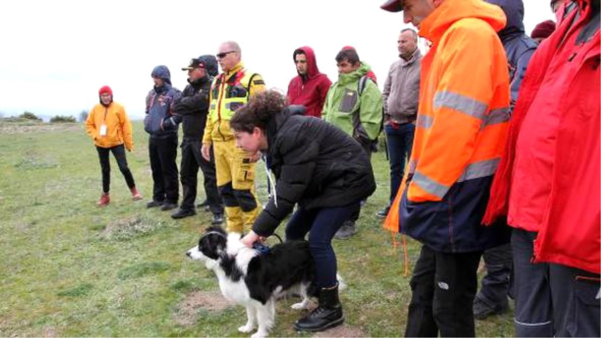 Köpekli Doğa Araması Semineri