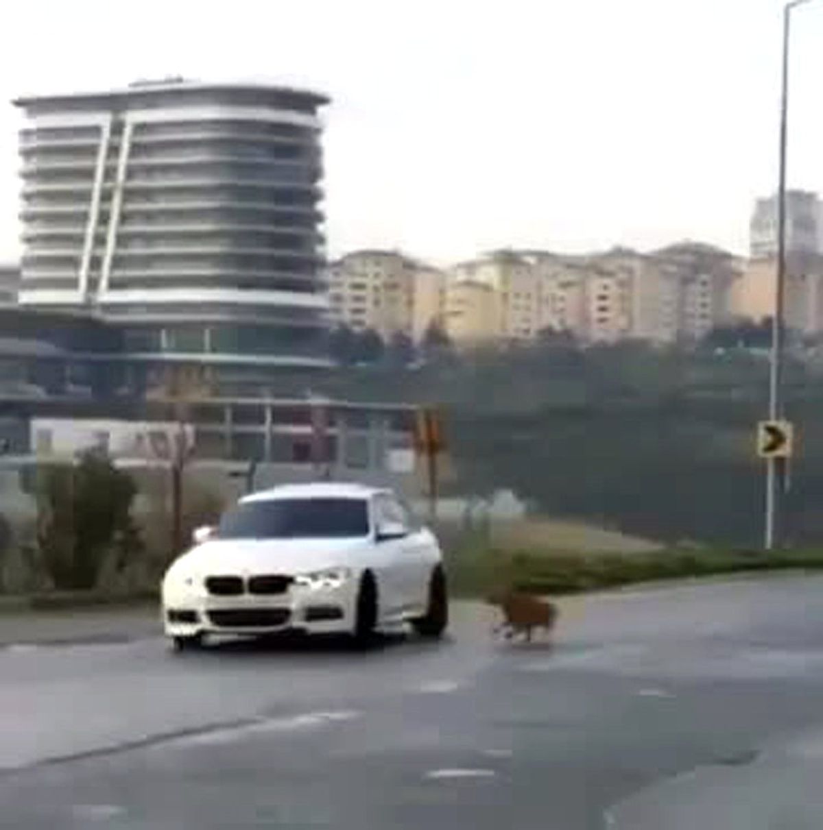Trafik Magandası Kamerada
