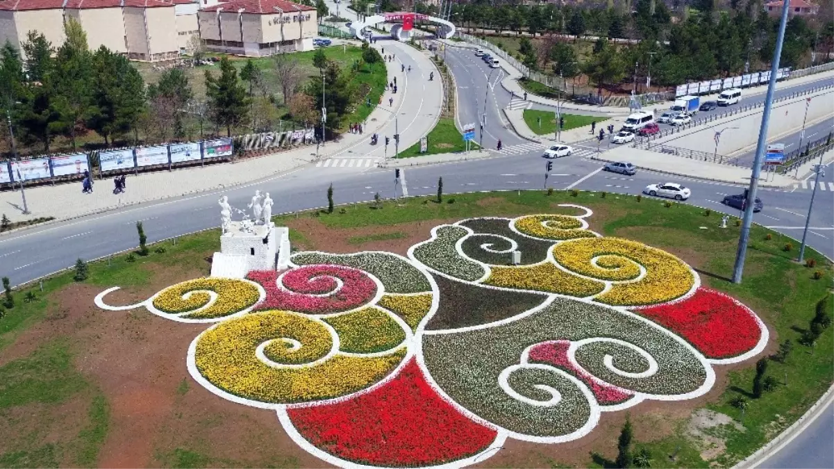 Elazığ Çiçeklerle Renklendi