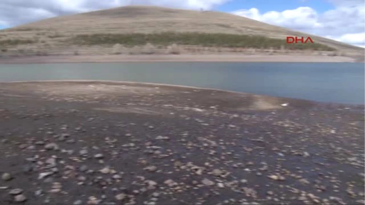 Erzurum Tekederesi Göletinde Toplu Balık Ölümü