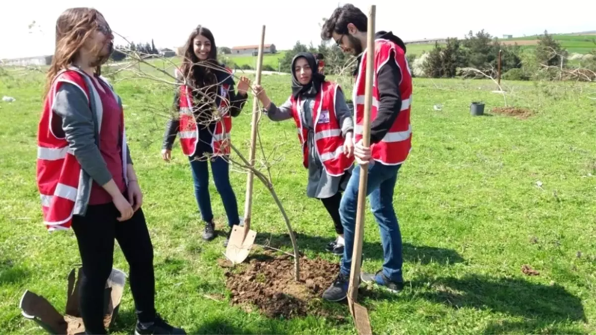 Genç Kızılaycılardan 350 Fidan