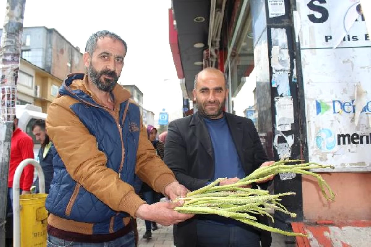 Baharın Müjdecisi Cep Yakıyor