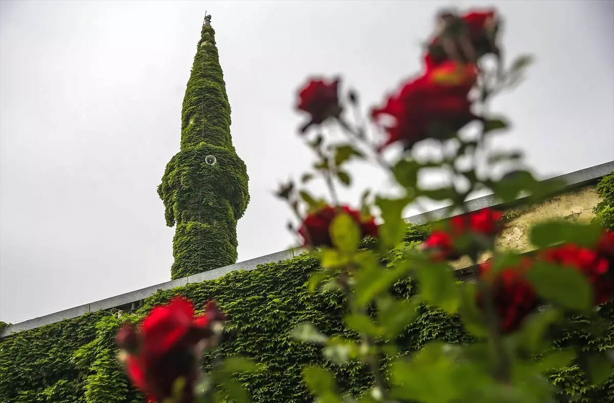 Botanik Bahçesi Gibi Cami