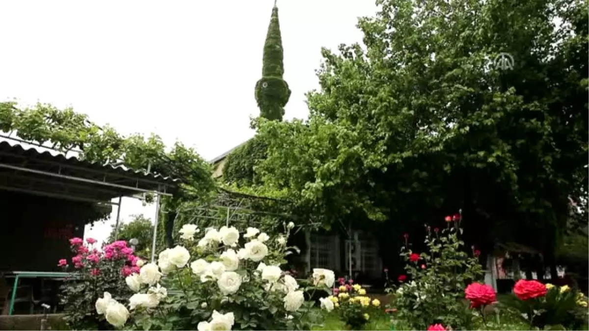 Botanik Bahçesi Gibi Cami