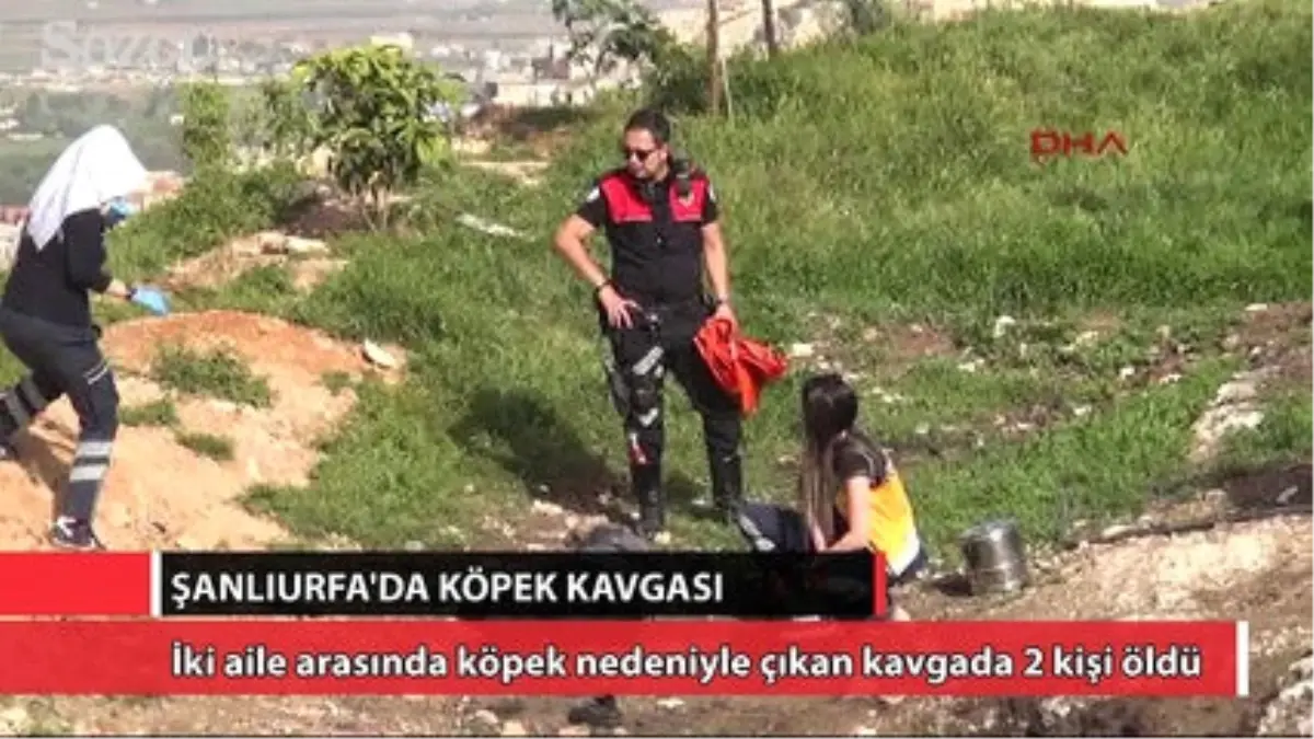 Bu da Köpek Kavgası: 2 Ölü, 1 Yaralı