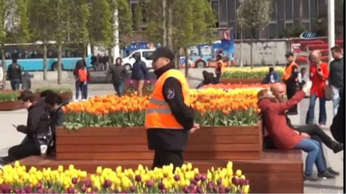 Taksim Meydanı\'nda Laleler Koruma Altında